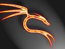 Kali Linux Tutorials HackerNoon profile picture