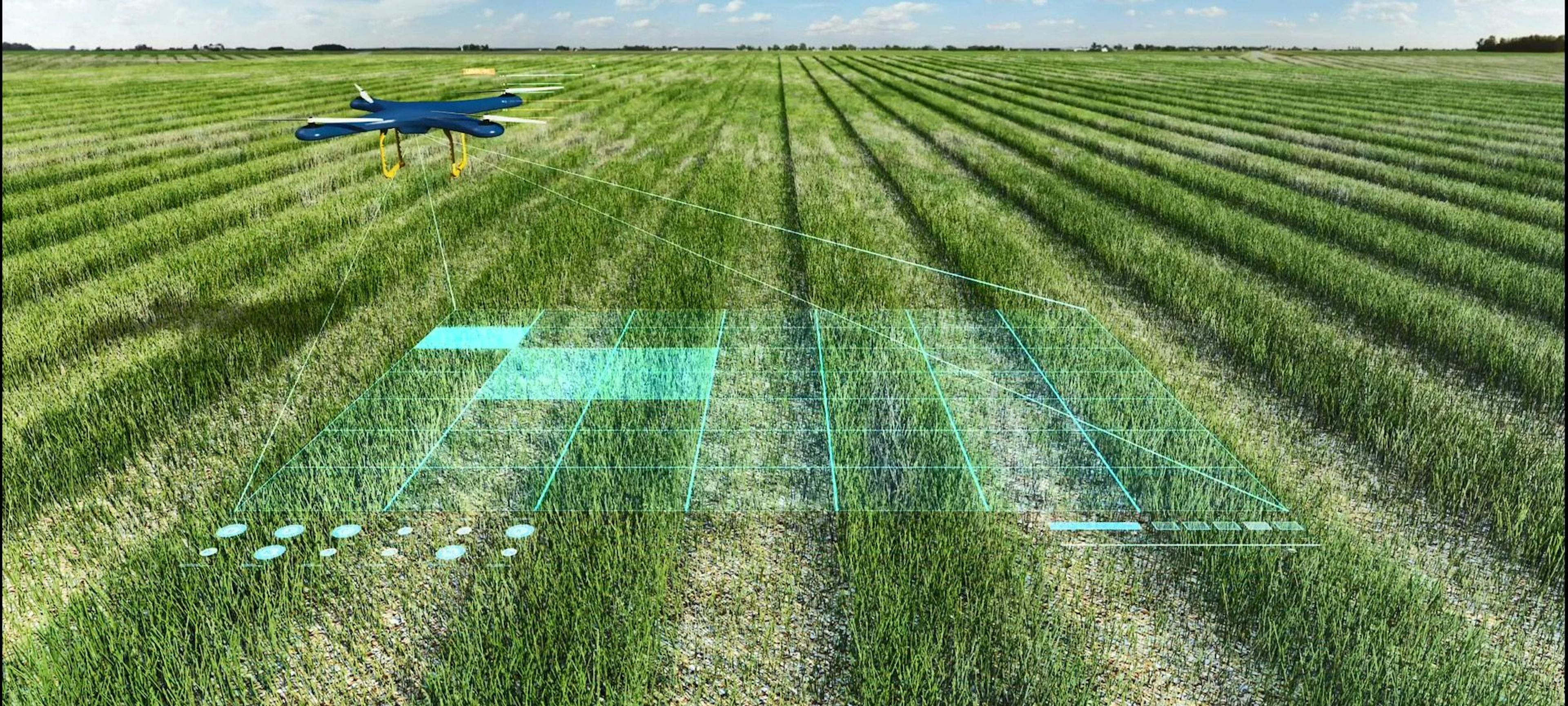 AI and the Agriculture Industry: Opportunities and Challenges